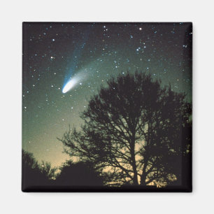 Komet Gesund-Bopp und Baum-Magnet Magnet