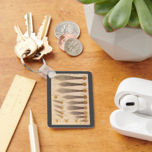 Kometen von Stanislaw Lubieniecki, Vintage Astrono Schlüsselanhänger