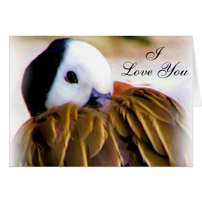 Komfort der Liebe_ (Vorderseite (Horizontal))