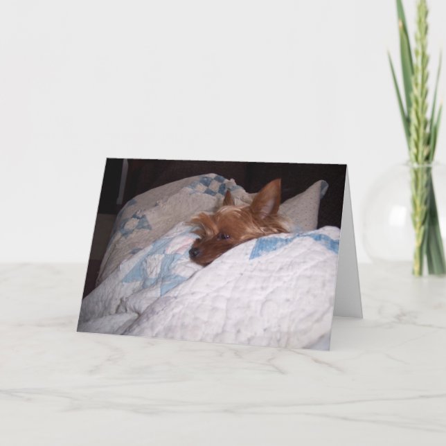 Komfort von Alfie Karte (Vorderseite)