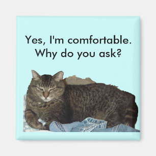 Komfortabel auf Waschkatzenmagnet Magnet