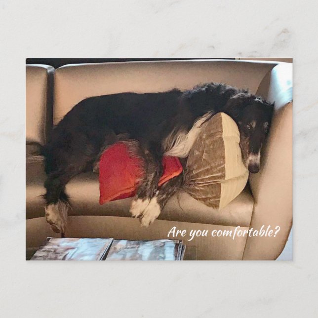 Komfortable Postkarte Borzoi (Vorderseite)