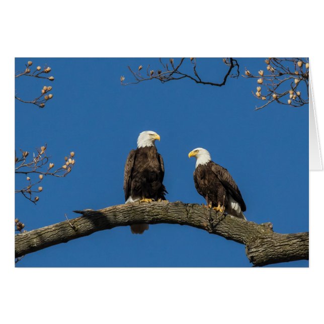 Komfortable Unterkunft (Vorderseite (Horizontal))