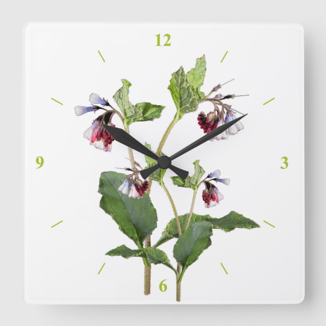 Komfrey. Quadratische Wanduhr (Vorderseite)