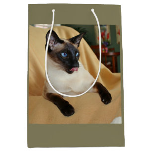 Komischer die Siegel-Punkt-siamesische Katze, die Mittlere Geschenktüte