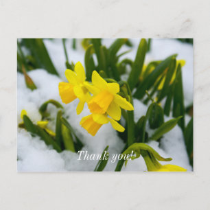 Komm Frühling Danke Postkarte