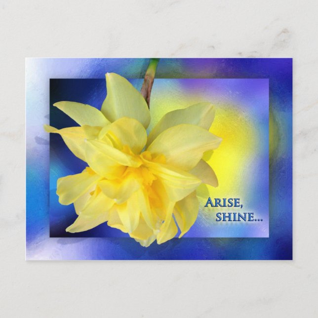 Komm her, Shine! Postkarte (Vorderseite)