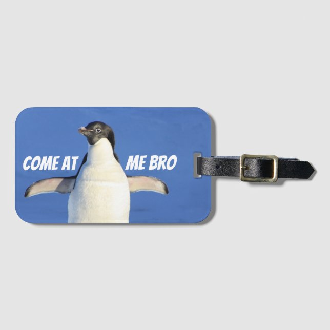 Komm zu Me Bro Funny Meme Penguin Gepäckanhänger (Vorderseite (Horizontal))