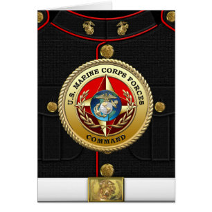 Kommando der US-Marine Corps Forces (MARFORCOM) [3