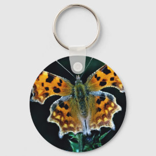 Kommaschmetterling Schlüsselanhänger