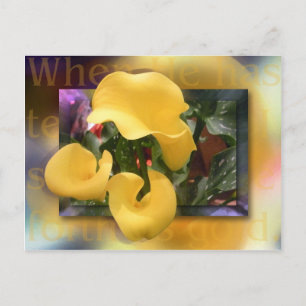 Kommen Sie als Gold Postkarte