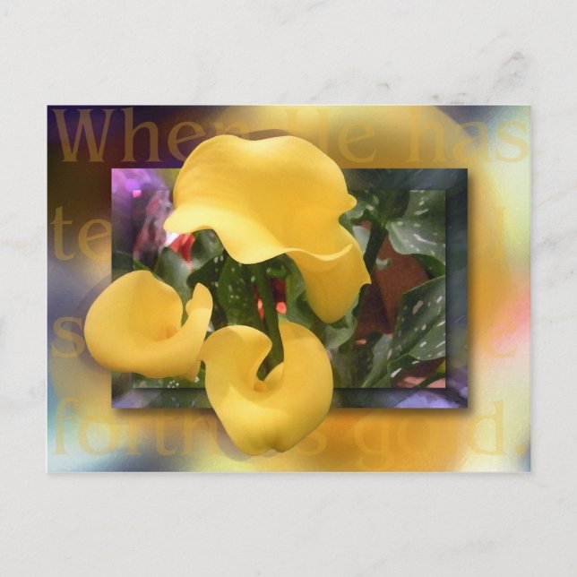 Kommen Sie als Gold Postkarte (Vorderseite)