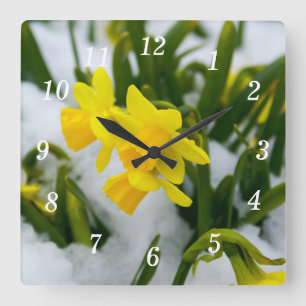 Kommen Sie auf die Frühjahrsmauer Quadratische Wanduhr