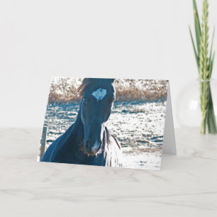 Kommen Sie bei Ya Karte