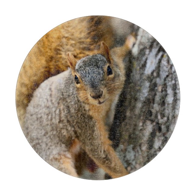 Kommen Sie? Schneidebrett (Vorderseite)