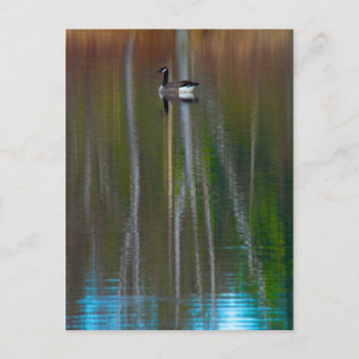 Kommen Sie und sehen Sie, was wir sehen Postkarte