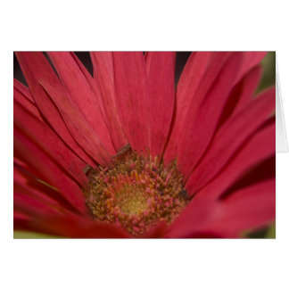 Kommen Sie zu Ihrer Sensorkarte