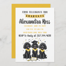 Kommen Sie zu unserem Standard-Doodle-Hund