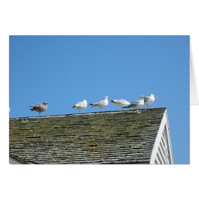 Kommen Sie zusammen (Vorderseite (Horizontal))