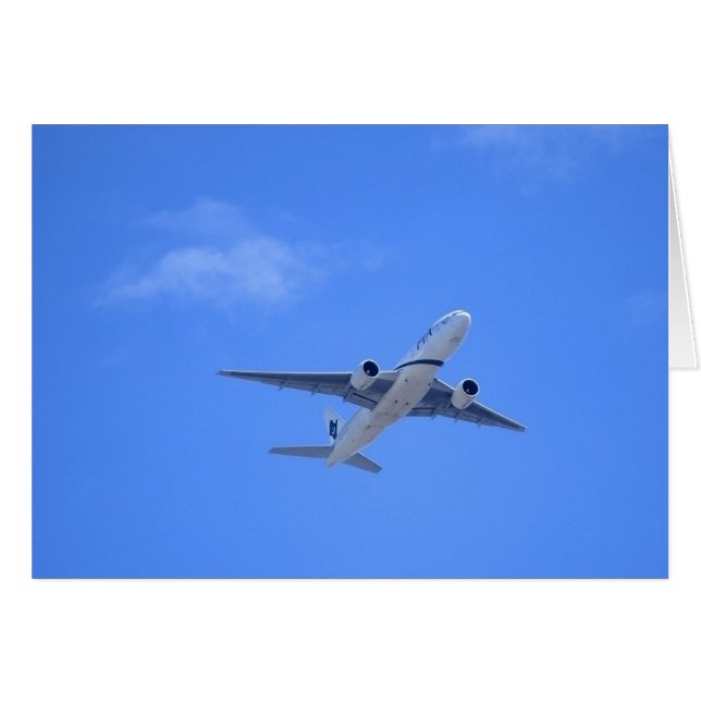 Kommerzieller Airliner (Vorderseite (Horizontal))