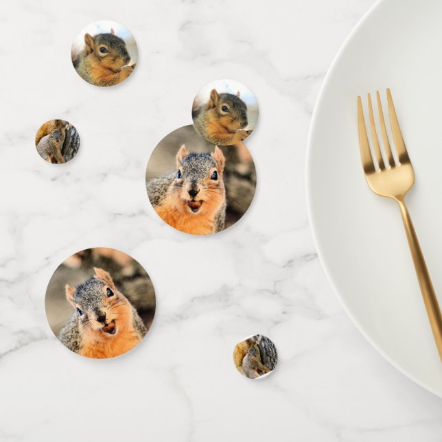 Kommst du nicht? Eichhörnchen Konfetti (Gruppe)