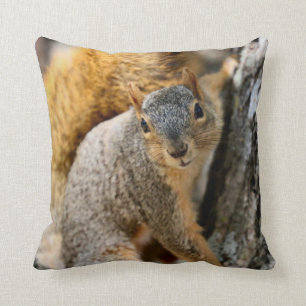 Kommst du nicht? kissen