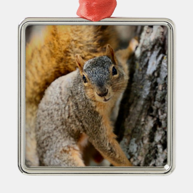 Kommst du nicht? ornament aus metall (Vorne)