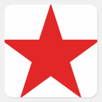 Kommunistische Sozialistin