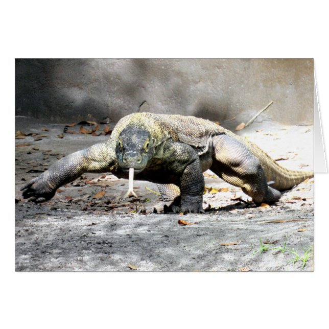 Komodo Drache (0751) (Vorderseite (Horizontal))