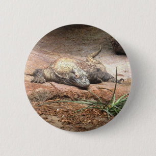 Komodo Drache Button