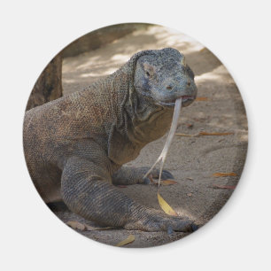 Komodo Drache-Lecken Magnet