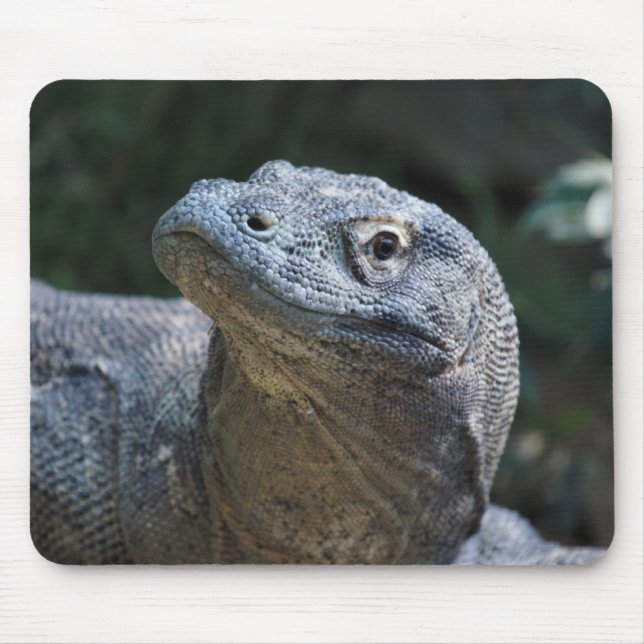 Komodo Drache Mousepad (Vorne)