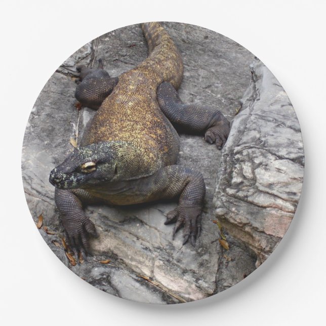 Komodo-Drache Nahaufnahme Natur Pappteller (Vorderseite)