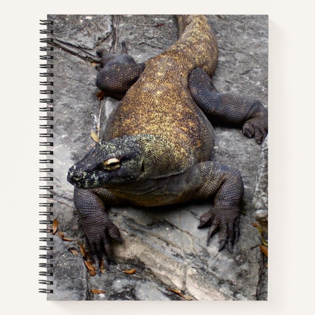 Komodo-Drache-Naturjournal Notizbuch (Vorderseite)