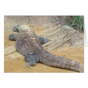 Komodo-Drachenfaltkarte