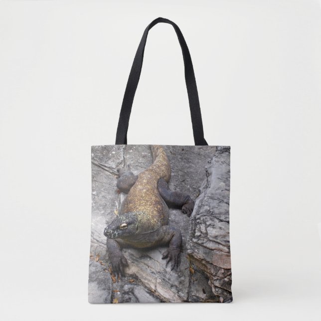Komodo Dragon (Vorderseite)