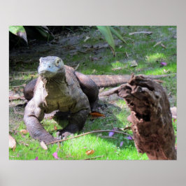 Komodo Dragon (0606) Poster