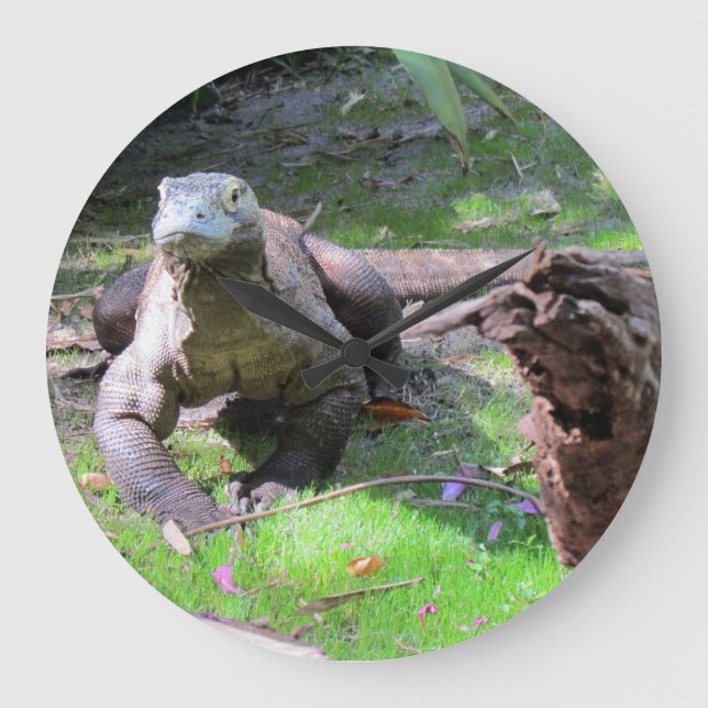 Komodo Dragon Clock Große Wanduhr (Vorderseite)