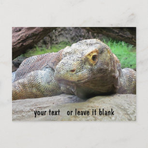 Komodo Dragon Gesicht mit Ihrem Text Postkarte