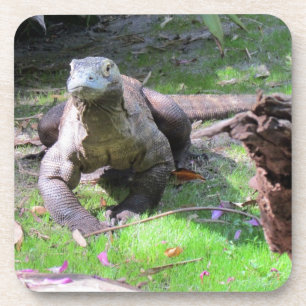 Komodo Dragon Hard Plastic / Cork Untersetzer