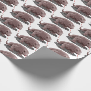 Komodo Dragon Illustration Geschenkpapier