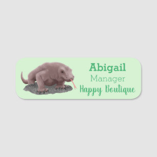 Komodo Dragon Illustration Namensschild