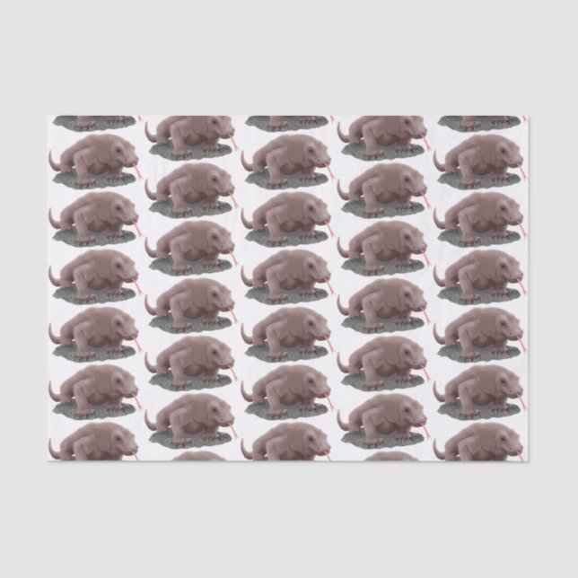 Komodo Dragon Illustration Seidenpapier (Vorderseite)