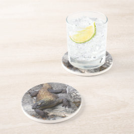 Komodo Dragon in Rocky Light Getränkeuntersetzer