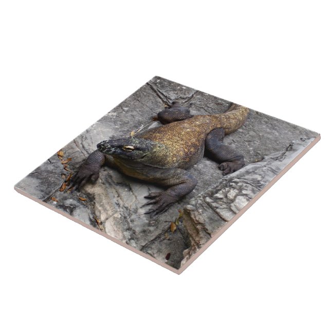 Komodo Dragon on Warm Rocks Fliese (Seite)