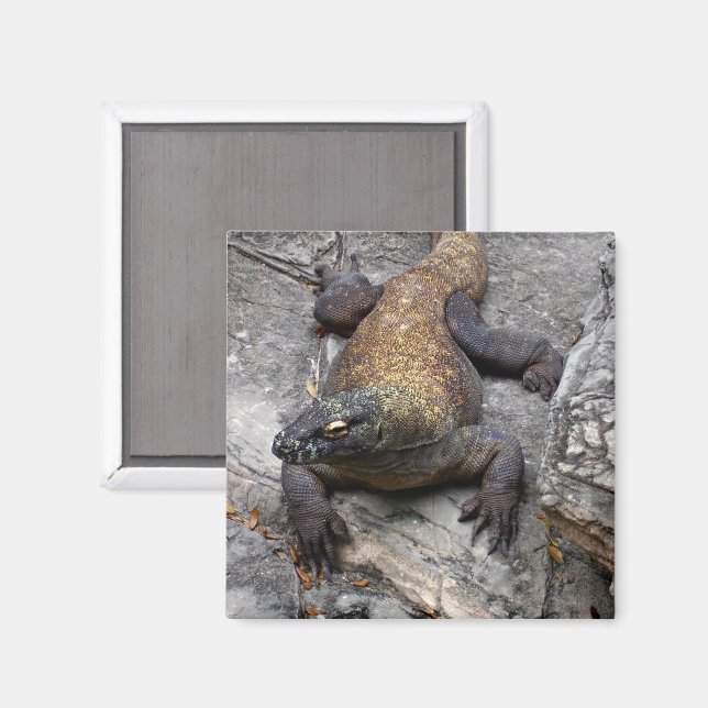 Komodo Dragon on Warm Stone Magnet (Vorderseite/Rückseite)