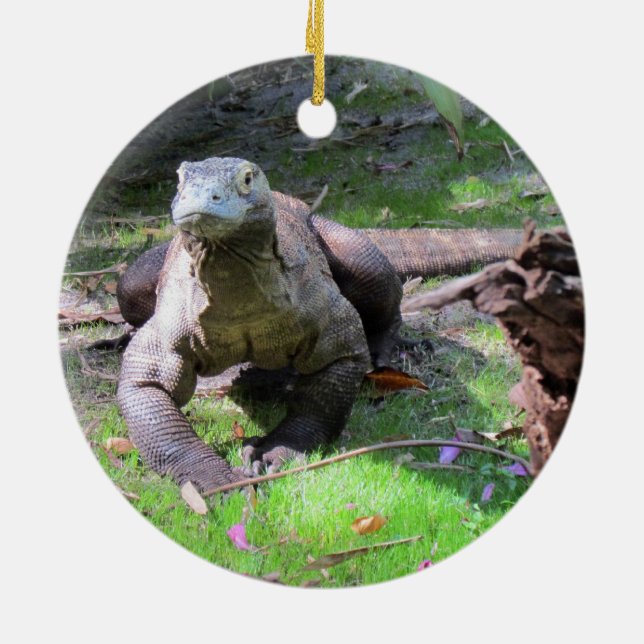 Komodo Dragon Ornament (Hinten)
