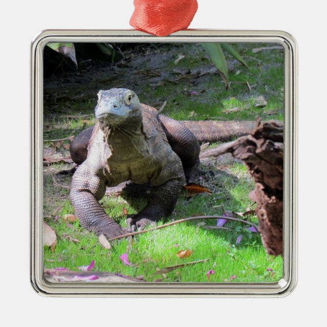 Komodo Dragon Ornament Aus Metall (Vorne)