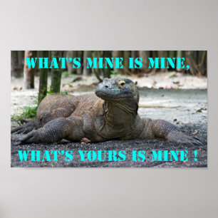 Komodo Dragon Poster
