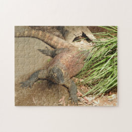 Komodo Dragon Puzzle